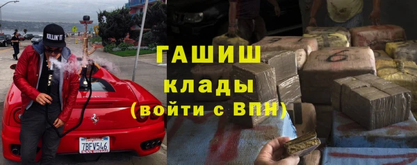 ПСИЛОЦИБИНОВЫЕ ГРИБЫ Михайлов