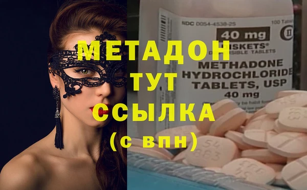 ПСИЛОЦИБИНОВЫЕ ГРИБЫ Михайлов