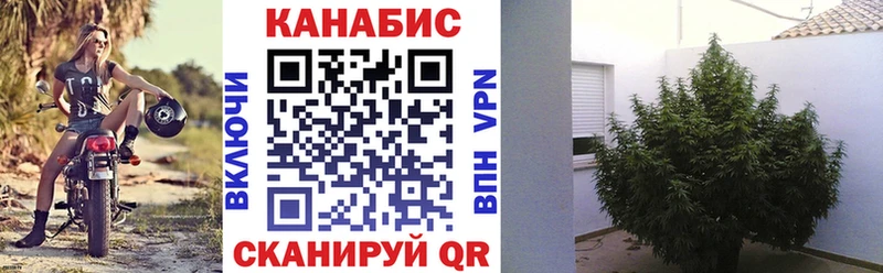 Бошки марихуана ГИДРОПОН  где купить наркотик  Нелидово 